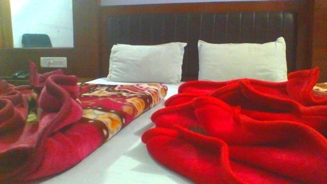 Hotel Sahara International Deluxe Nowe Delhi Pokój zdjęcie